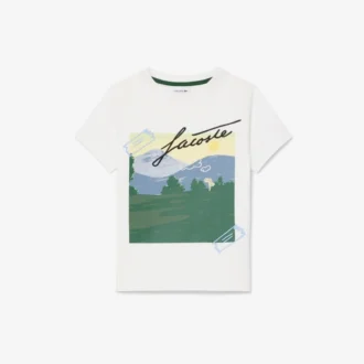 Boys’ Print Cotton T-Shirt
