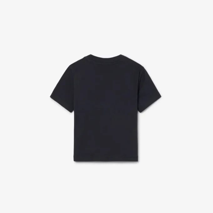 Cotton Colorblock T-Shirt