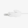 Crocodile Key Ring