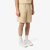 Crocodile Print Stripe Cotton Shorts