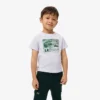 Graphic Print Cotton T-Shirt