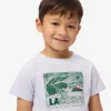 Graphic Print Cotton T-Shirt