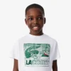 Graphic Print Cotton T-Shirt