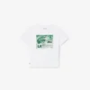 Graphic Print Cotton T-Shirt