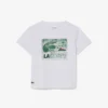 Graphic Print Cotton T-Shirt