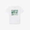 Graphic Print Cotton T-Shirt