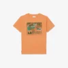 Graphic Print Cotton T-Shirt