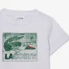 Graphic Print Cotton T-Shirt