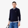 Men’s Cotton V-Neck Sweater
