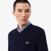 Men’s Cotton V-Neck Sweater