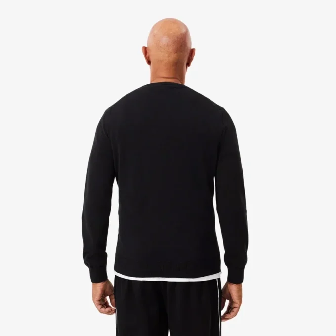 Men’s Cotton V-Neck Sweater