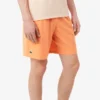Men’s Lacoste Tennis X Novak Djokovic Shorts