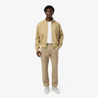 Men’s Regular Fit Cotton Chino Pants