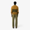 Men’s Regular Fit Cotton Chino Pants