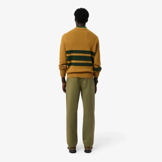 Men’s Regular Fit Cotton Chino Pants
