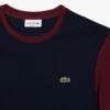 Men’s Regular Fit Cotton Colorblock T-Shirt