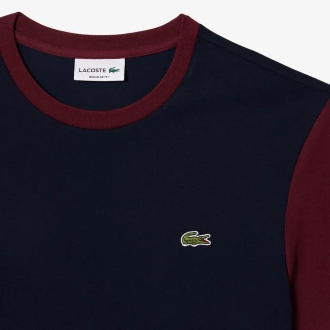 Men’s Regular Fit Cotton Colorblock T-Shirt