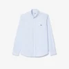 Men’s Regular Fit Cotton Shirt