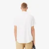 Men’s Regular Fit Short Sleeve Cotton Shirt