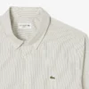 Men’s Regular Fit Striped Button Down Shirt