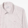 Men’s Regular Fit Striped Button Down Shirt