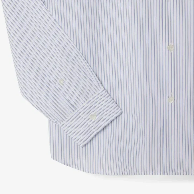 Men’s Regular Fit Striped Button Down Shirt