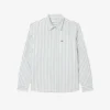 Men’s Regular Fit Striped Oxford Shirt