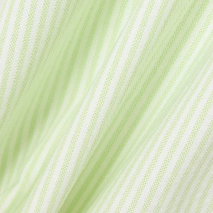 Men’s Regular Fit Striped Oxford Shirt
