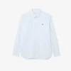 Men’s Regular Fit Striped Pinpoint Shirt