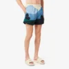Men’s Short Landscape Print Swim Trunks
