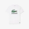 Men’s Signature Print Cotton T-Shirt