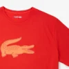 Men’s Sport Tall Fit Print Cotton T-Shirt