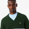 Men’s Striped Wool V-Neck Sweater