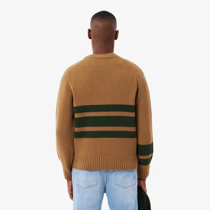 Men’s Striped Wool V-Neck Sweater