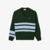 Men’s Striped Wool V-Neck Sweater