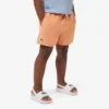 Monochromatic Lined Swim Trunks