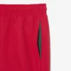 Monochromatic Lined Swim Trunks