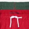 Monochromatic Lined Swim Trunks