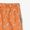 Monochromatic Swim Trunks