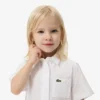 Poplin Pleat Skirt Shirt Dress