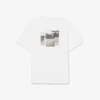 Print Cotton T-Shirt