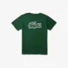 Printed Cotton T-Shirt