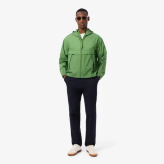 Regular Fit Cotton Chino Pants