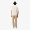 Regular Fit Cotton Chino Pants