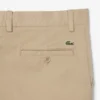 Regular Fit Cotton Chino Pants