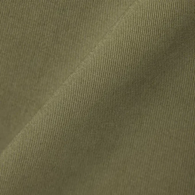 Regular Fit Cotton Chino Pants