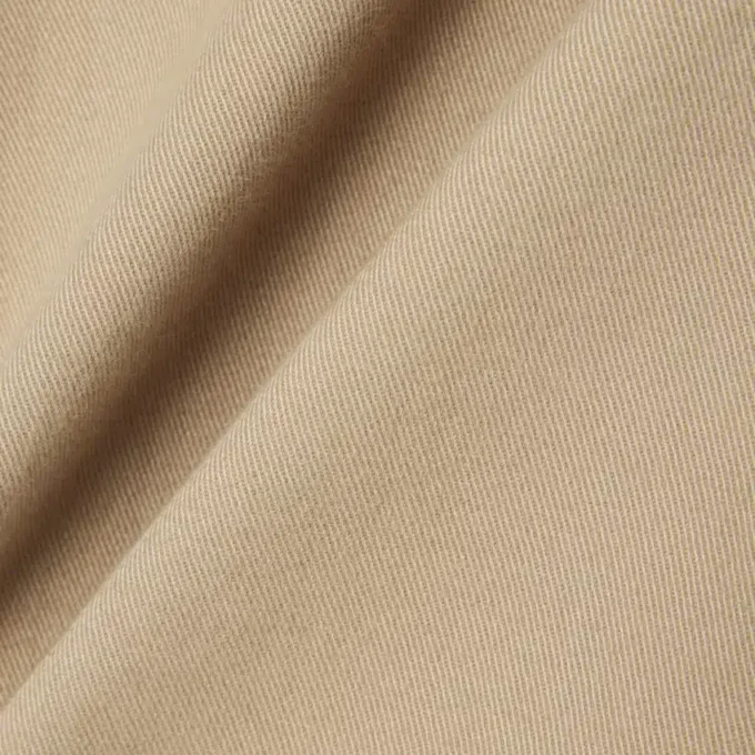 Regular Fit Cotton Chino Pants