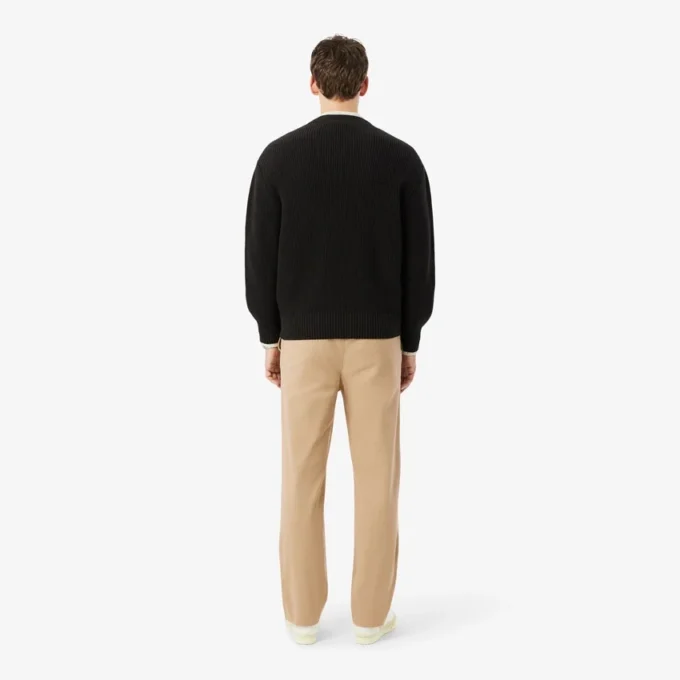Regular Fit Cotton Twill Chino Pants