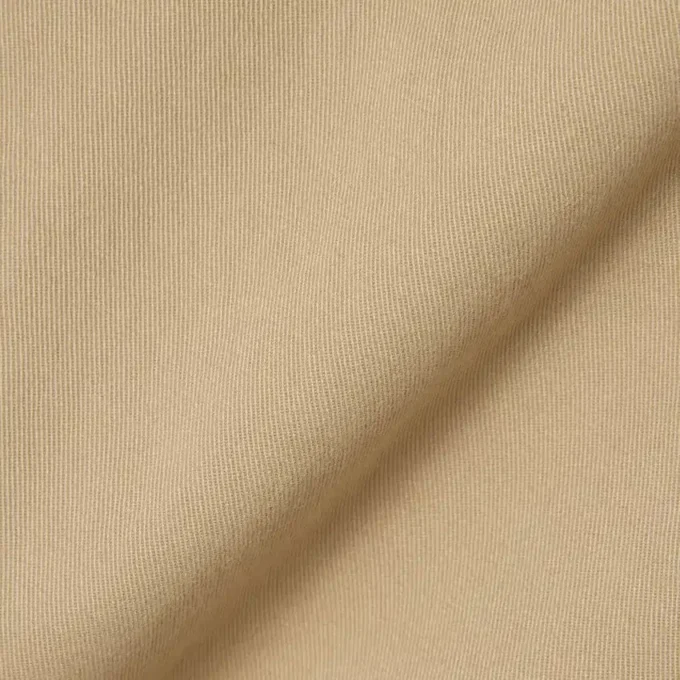 Regular Fit Cotton Twill Chino Pants