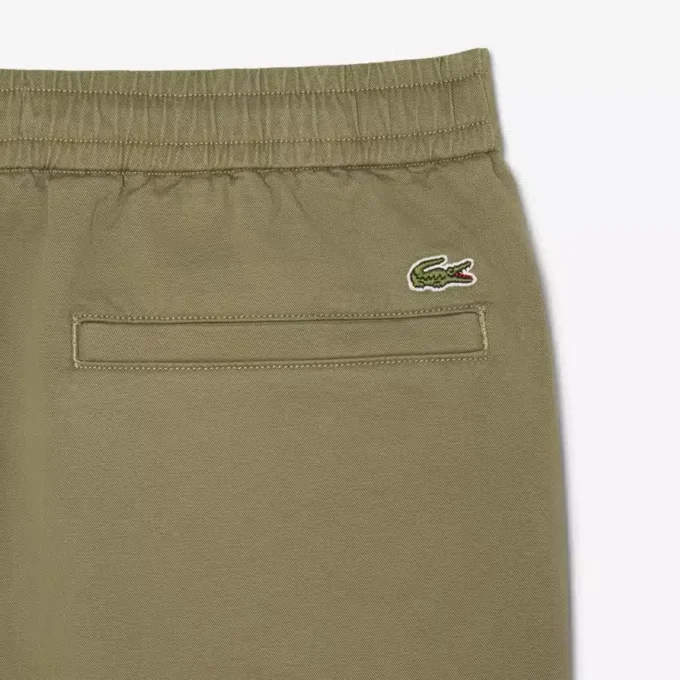 Regular Fit Cotton Twill Chino Pants